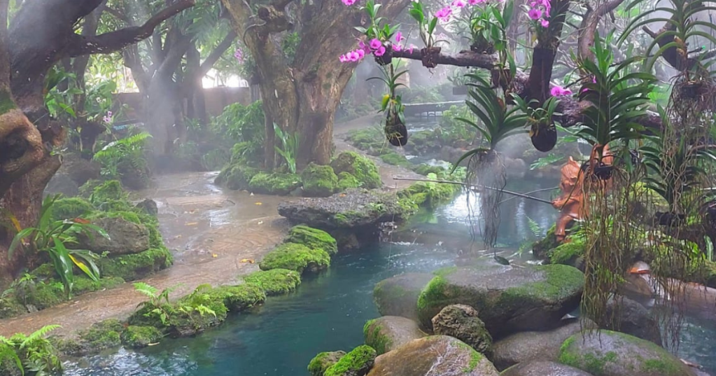 Las mejores cafeterías del norte de Tailandia